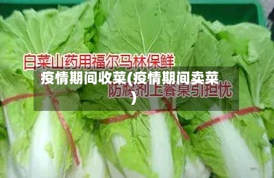 疫情期间收菜(疫情期间卖菜)