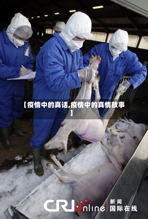 【疫情中的真话,疫情中的真情故事】-第2张图片