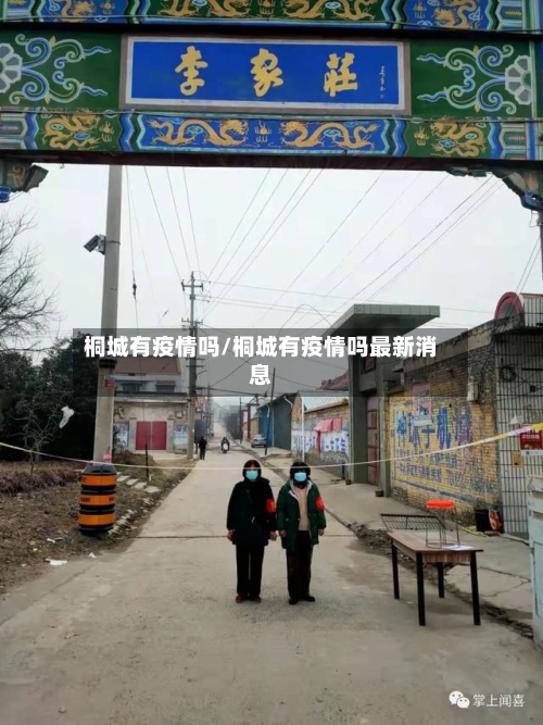 桐城有疫情吗/桐城有疫情吗最新消息-第3张图片