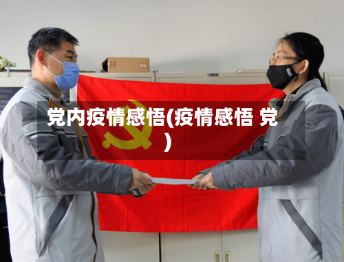 党内疫情感悟(疫情感悟 党)