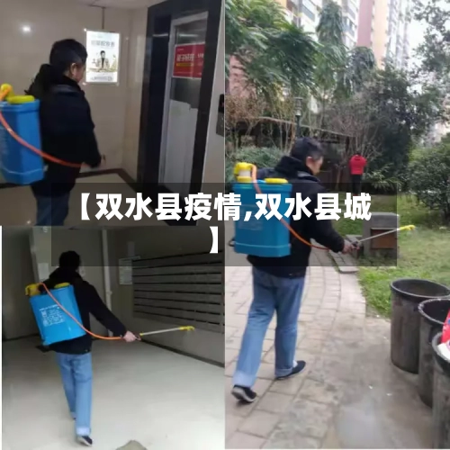 【双水县疫情,双水县城】