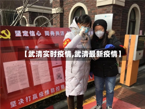 【武清实时疫情,武清最新疫情】-第2张图片