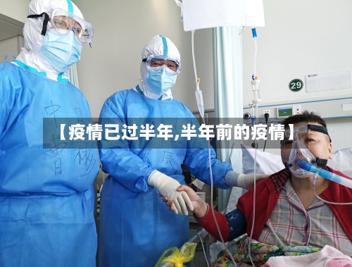 【疫情已过半年,半年前的疫情】-第3张图片