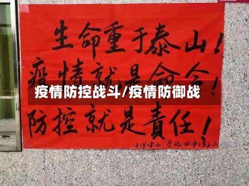 疫情防控战斗/疫情防御战-第3张图片