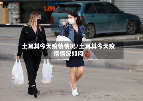 土耳其今天疫情情况/土耳其今天疫情情况如何-第3张图片