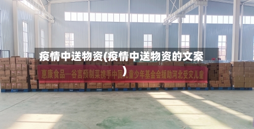 疫情中送物资(疫情中送物资的文案)