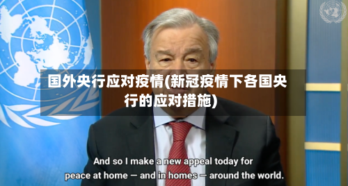 国外央行应对疫情(新冠疫情下各国央行的应对措施)-第2张图片