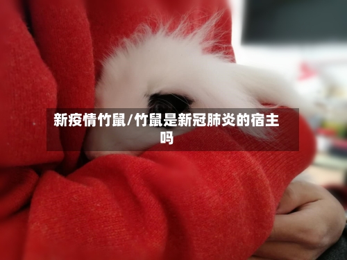 新疫情竹鼠/竹鼠是新冠肺炎的宿主吗-第3张图片