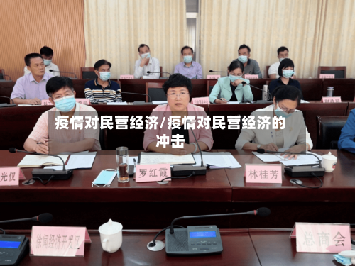 疫情对民营经济/疫情对民营经济的冲击