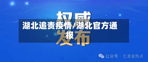 湖北追责疫情/湖北官方通报