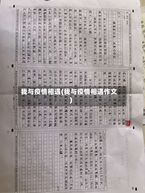 我与疫情相遇(我与疫情相遇作文)