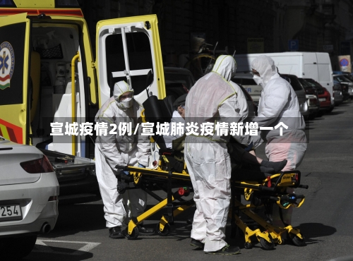 宣城疫情2例/宣城肺炎疫情新增一个-第2张图片