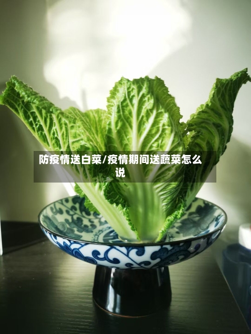 防疫情送白菜/疫情期间送蔬菜怎么说-第2张图片
