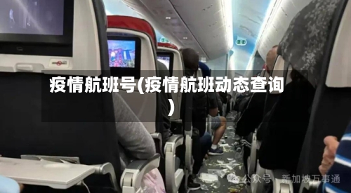 疫情航班号(疫情航班动态查询)-第2张图片
