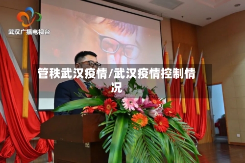 管秩武汉疫情/武汉疫情控制情况-第2张图片