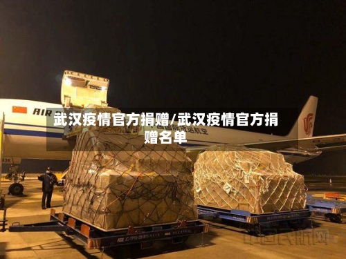 武汉疫情官方捐赠/武汉疫情官方捐赠名单-第2张图片