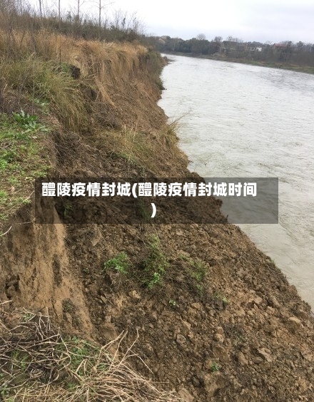 醴陵疫情封城(醴陵疫情封城时间)