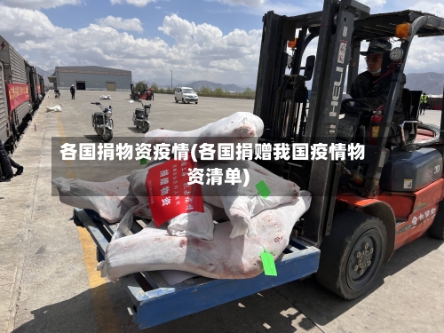 各国捐物资疫情(各国捐赠我国疫情物资清单)