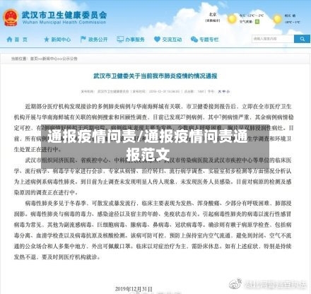 通报疫情问责/通报疫情问责通报范文-第2张图片