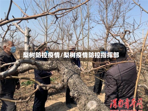 梨树防控疫情/梨树疫情防控指挥部