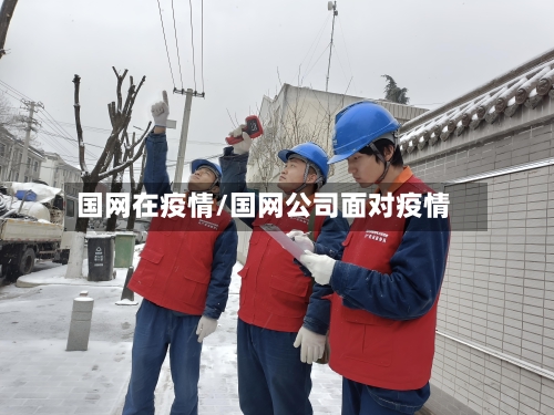 国网在疫情/国网公司面对疫情