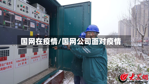 国网在疫情/国网公司面对疫情-第3张图片