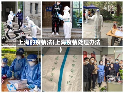 上海的疫情法(上海疫情处理办法)-第2张图片