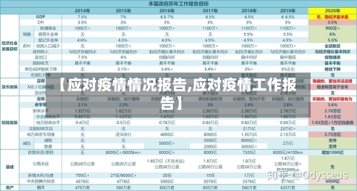 【应对疫情情况报告,应对疫情工作报告】-第2张图片
