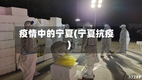 疫情中的宁夏(宁夏抗疫)