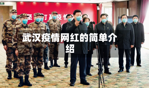 武汉疫情网红的简单介绍-第3张图片