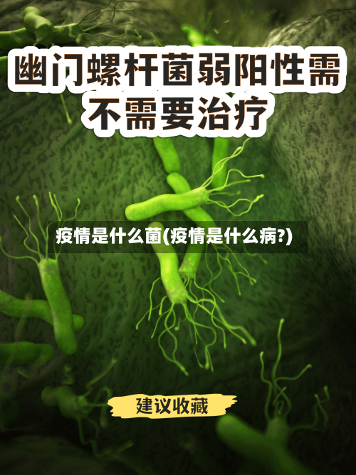 疫情是什么菌(疫情是什么病?)-第2张图片
