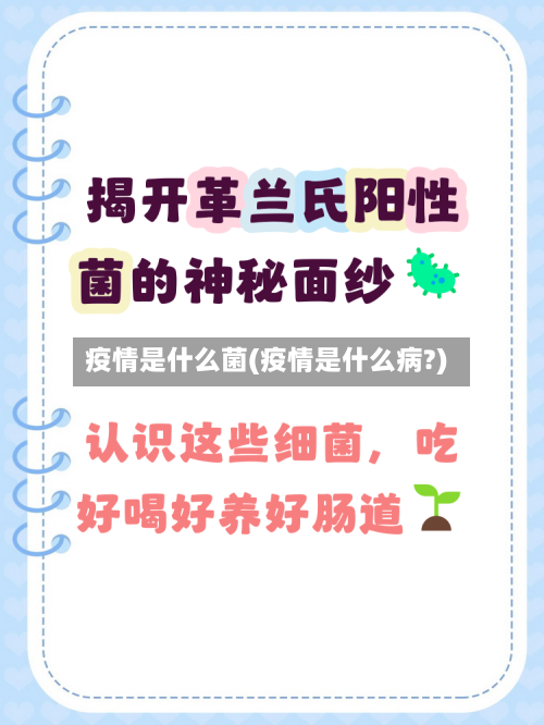 疫情是什么菌(疫情是什么病?)-第3张图片