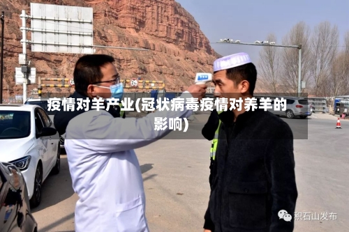 疫情对羊产业(冠状病毒疫情对养羊的影响)