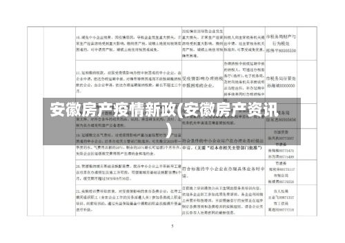安徽房产疫情新政(安徽房产资讯)