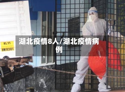 湖北疫情8人/湖北疫情病例-第3张图片