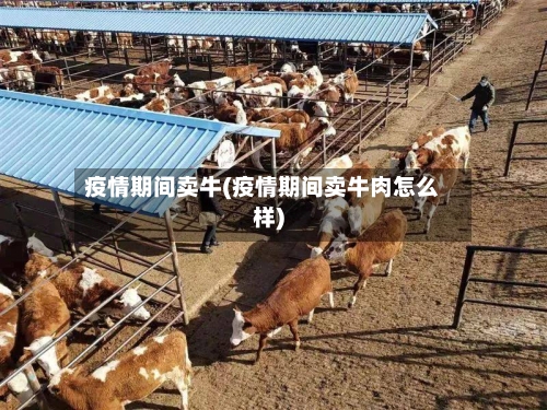 疫情期间卖牛(疫情期间卖牛肉怎么样)