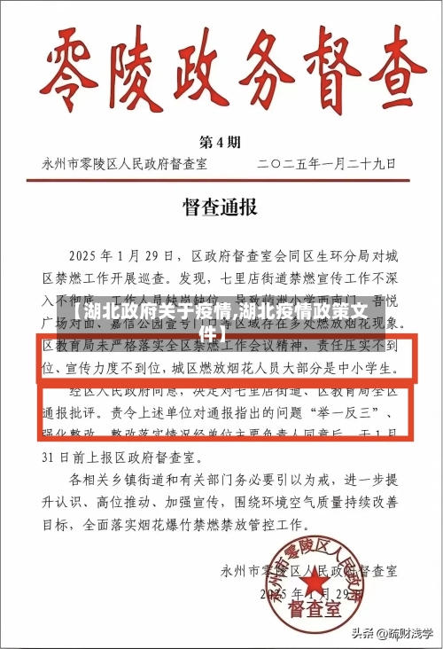 【湖北政府关于疫情,湖北疫情政策文件】-第2张图片