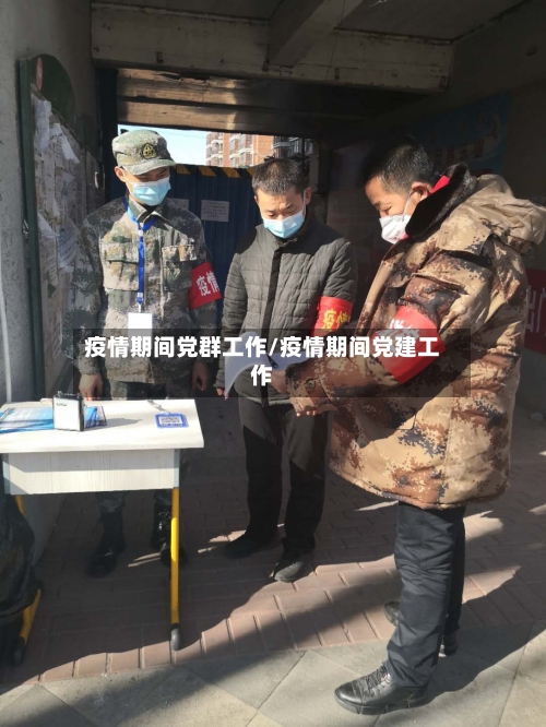 疫情期间党群工作/疫情期间党建工作